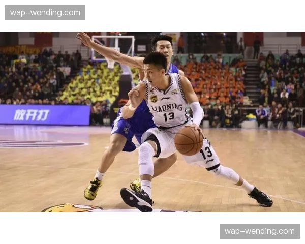 防守接触尺度把握 CBA与NBA文化差异分析